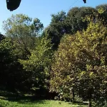 Apartment Salgueda Santa Pau