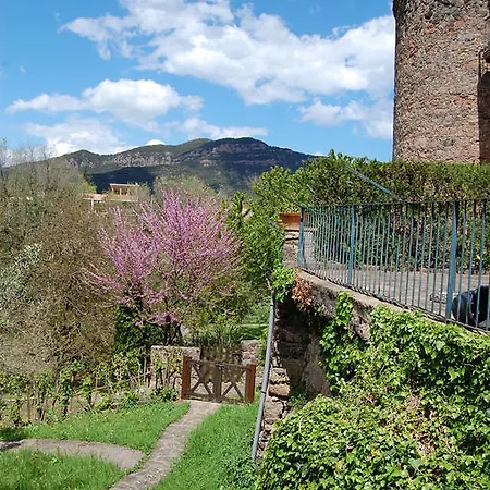 Apartament Salgueda *
