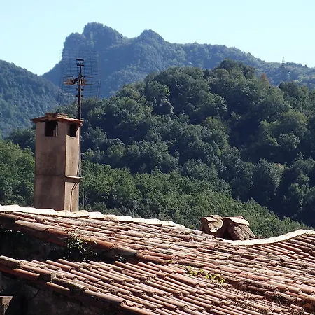 Salgueda Santa Pau