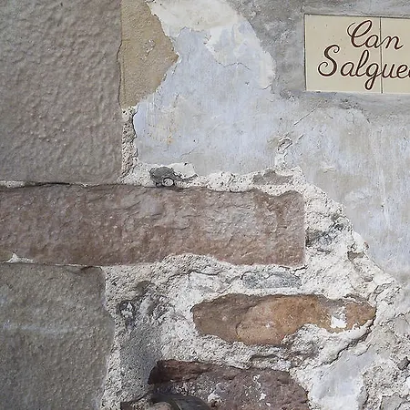Apartament Salgueda Santa Pau