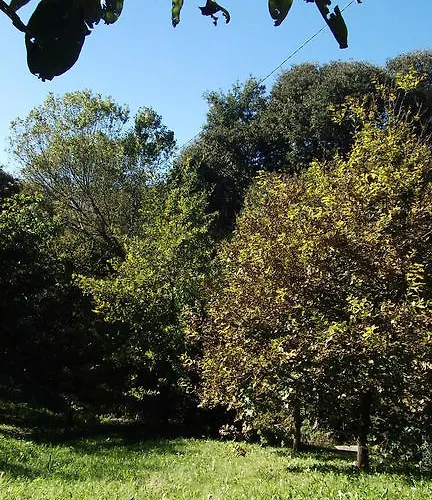 公寓 Salgueda 圣保